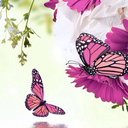 speckledinpixiedust avatar