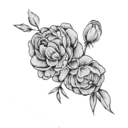 spectacular-bliss avatar