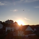 spectacularsights avatar