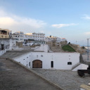 spectatordelavida avatar