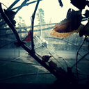 spectralmyparanormalencounters avatar