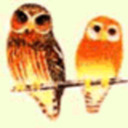 spectralowls avatar