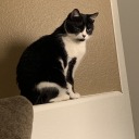 spectralthings avatar