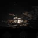 spectre-of-death avatar