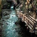 speechless-mangacaps avatar