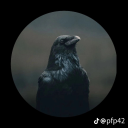 speeddemon000 avatar