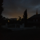 speedilynoisymoon avatar