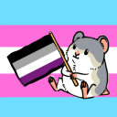 speedy-the-hamster avatar