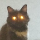 speedyexpertdonkeycroissant avatar