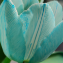 speedymoviesbyscience avatar