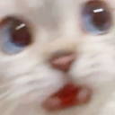 speedynutdetective avatar