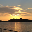 speedypenguinmagazine avatar