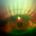 spellbindingdemondog avatar