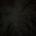 spencerhastingsstudyblr avatar