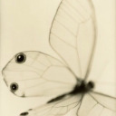 spencersweetie avatar