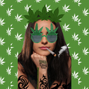 spencerweedstings avatar