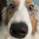 sphinxologist avatar