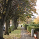 sphinxwithdictionary avatar