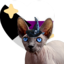 sphynxrpmemes avatar