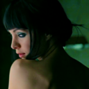 spiceytheredwolf avatar