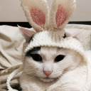 spicy-dabbles avatar