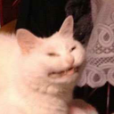 spicyatthedisco avatar