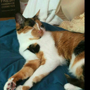 spicyeggrolll avatar