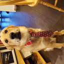 spicyhyperspace avatar