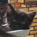 spicykrakensoup avatar