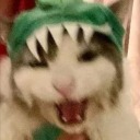 spicymaruchancontajin avatar