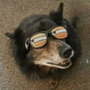 spicymemesociety avatar