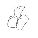 spicyonmain avatar