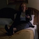 spider-season avatar