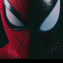 spiderdarkman avatar