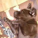 spiderinthecupboard avatar