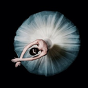 spiderintheroses avatar