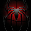 spidermaan avatar