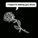 spiders-in-your-eyes avatar