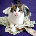 spidersforteeth avatar