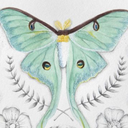 spidersinsideofher avatar