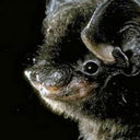 spiderspoons-blog avatar