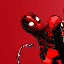 spidey1610 avatar