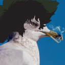 spikeseagull avatar