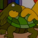 spiketheturtle avatar