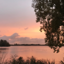 spilled-feelings avatar