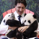 spilledgreentea avatar