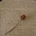 spilledpoetries avatar