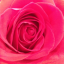 spilledxemotions avatar