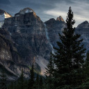 spillingpetrichor avatar