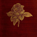 spills-roses avatar